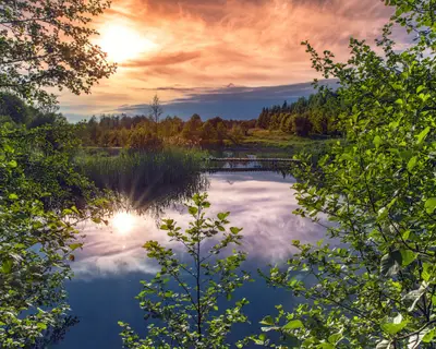 Masurische Landschaft