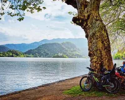 Bled, Slovenia - April 28, 2018: Bicycles parked at the tree on the Bled Lake, Slovenia