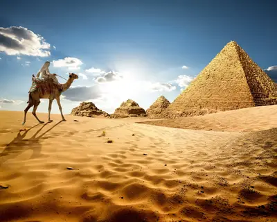 Bedouin on camel near pyramids in desert