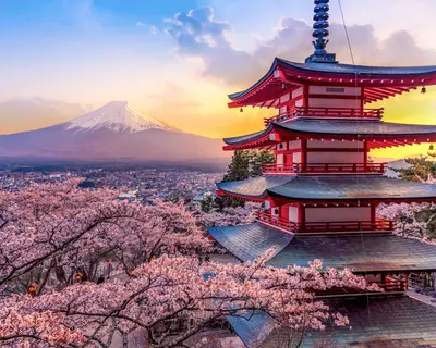 Fujiyoshida, Japan Beautiful view of mountain Fuji and Chureito pagoda at sunset, japan in the spring with cherry blossoms