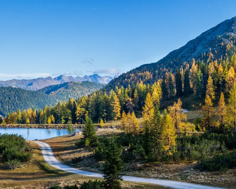 Peaceful sunny day autumn Alps mountain view. Reiteralm, Steiermark, Austria.