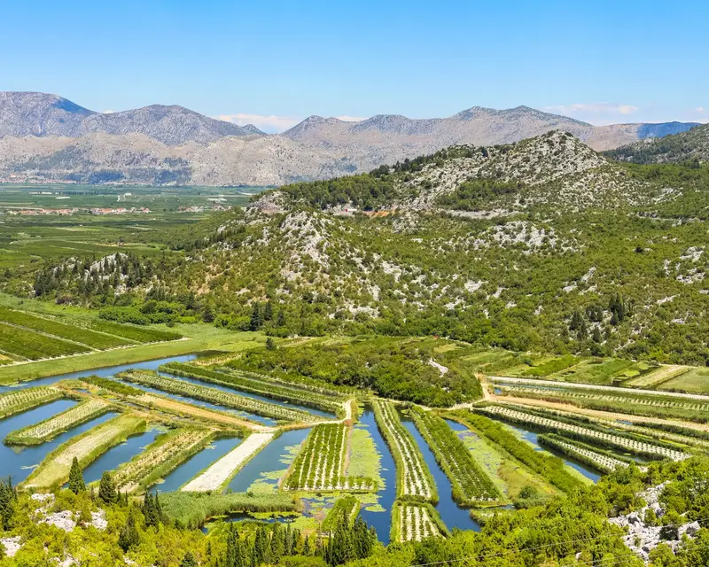 A view of the irrigated agricultural orchards and fields in the delta of the river Neretva in Opuzen, Croatia.