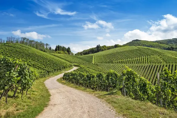 Radgenuss in der Steiermark